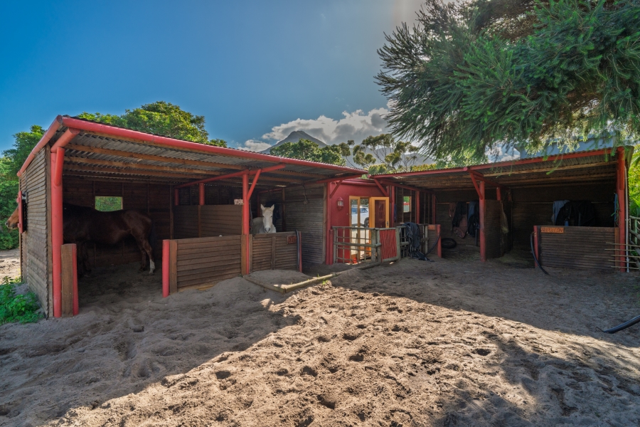 4 Bedroom Property for Sale in Meadowsteads Western Cape